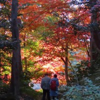 18　二人の秋　　木村民治 SHINGETSU